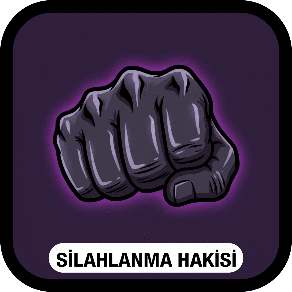 Silahlanma Hakisi