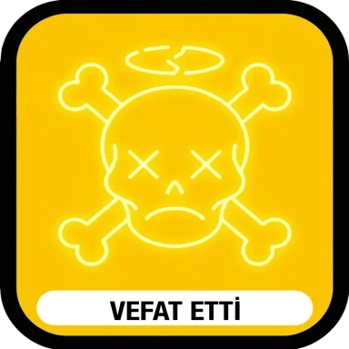 Hayatını kaybetti